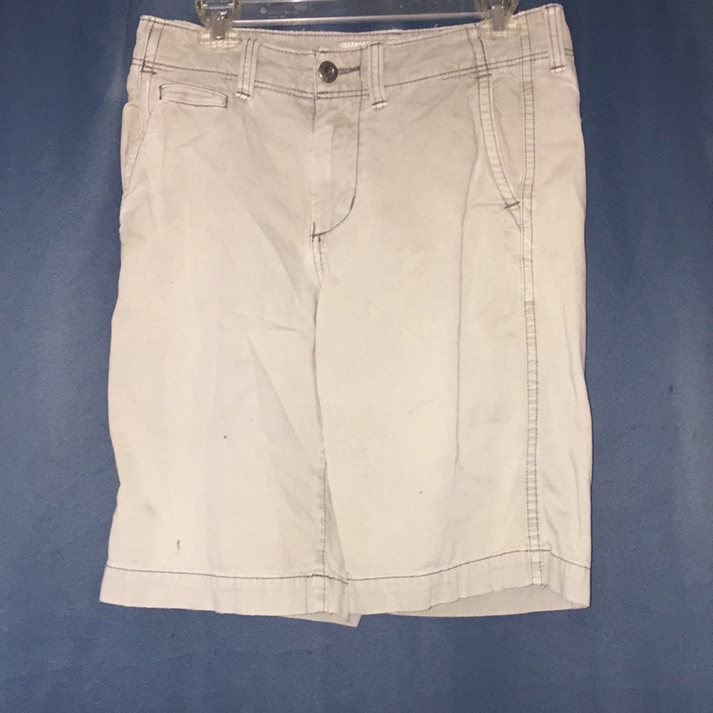 AE LongBoard Shorts